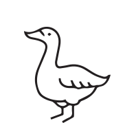 Duck icon