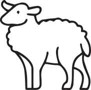 Sheep icon